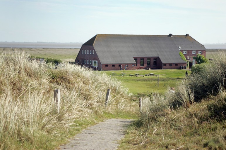 Idylle pur - Die Jugendherberge Langeoog ist der neue Arbeitsplatz von Peter SchrAi??der