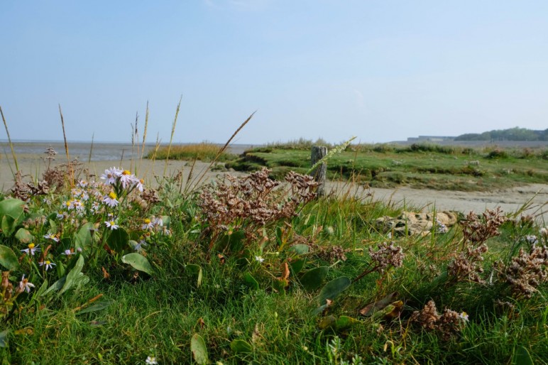 Borkum-16-von-27-1024x682